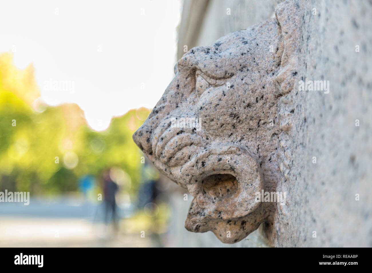 Il leone di pietra Foto Stock