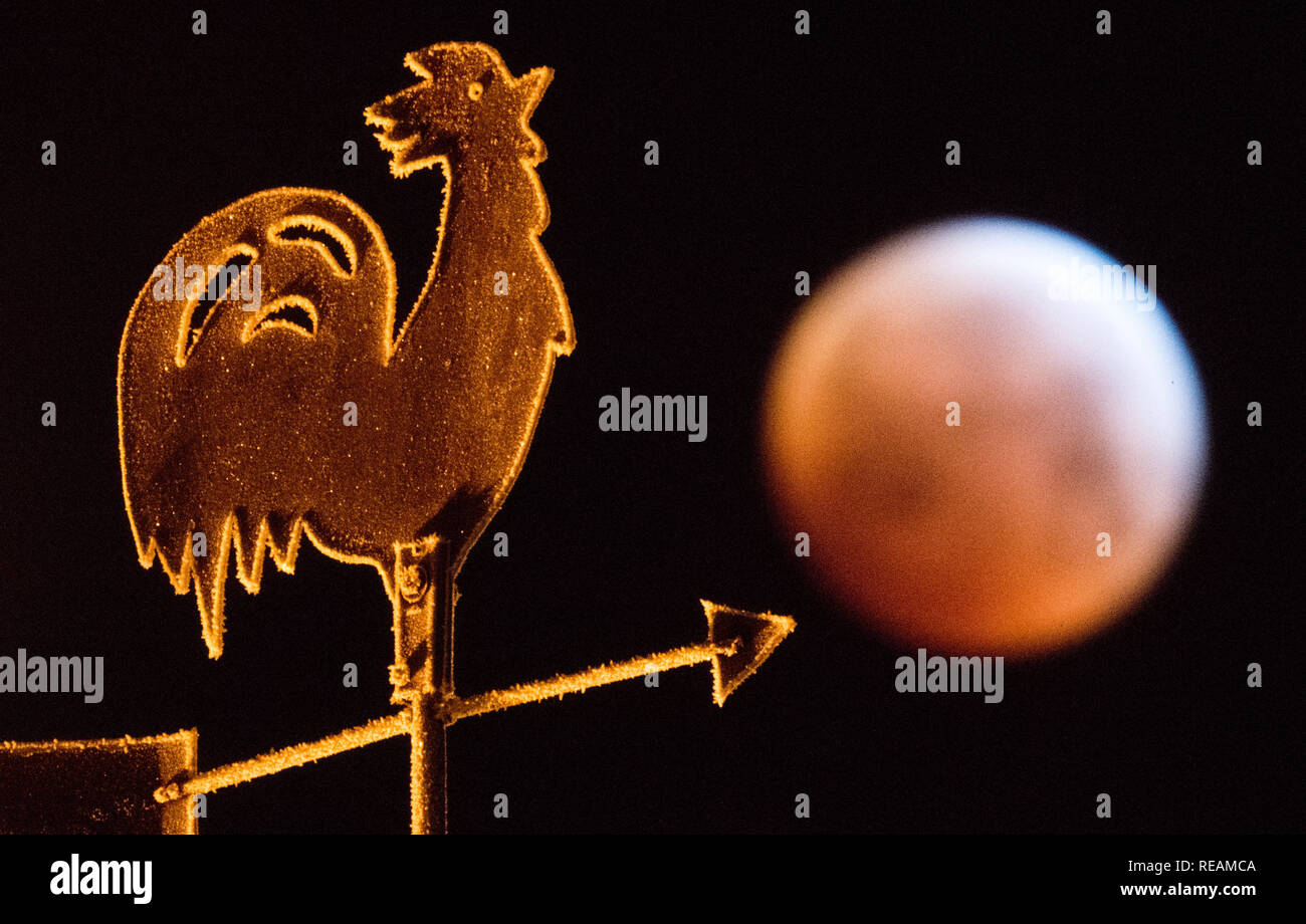 Laatzen, Germania. Xxi gen, 2019. Oscurano la luna piena appare come una cosiddetta "sangue luna" e appare di colore rossastro - fotografato dietro un segnavento sul tetto di una casa. La luna, il sole e la terra sono esattamente in una linea durante un'eclisse lunare. Credito: Julian Stratenschulte/dpa/Alamy Live News Credito: dpa picture alliance/Alamy Live News Foto Stock