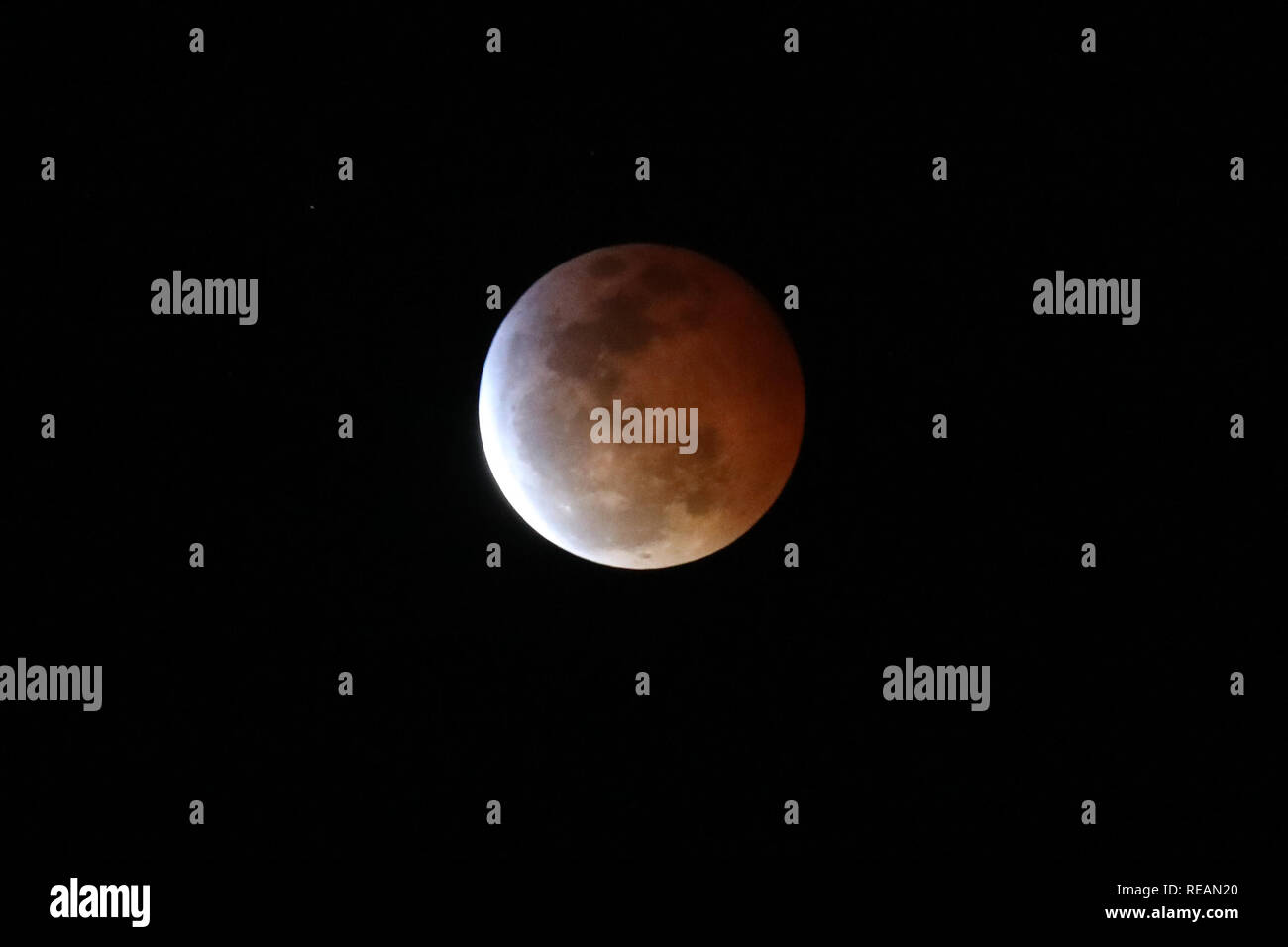 Los Angeles, California, USA. Il 20 gennaio, 2019. Il Lunar Eclipse e luna di sangue come si vede da Los Angeles il 20 gennaio 2019. Credito: Sheri Determan Credito: Sheri Determan/Alamy Live News Foto Stock