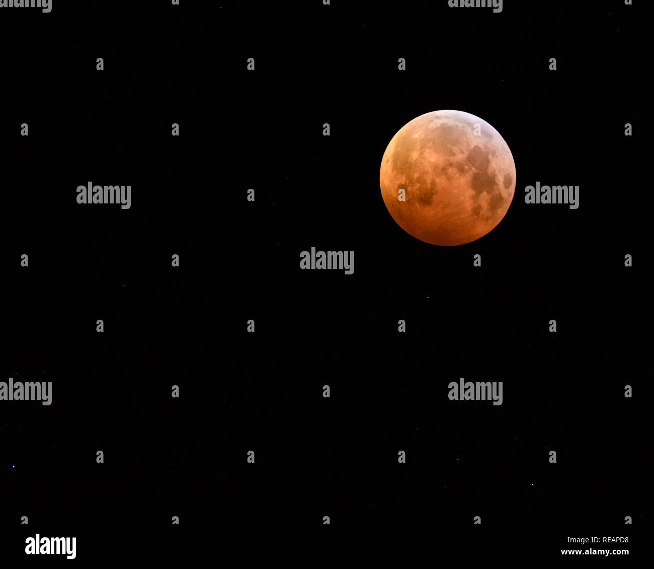 OUDDORP, PAESI BASSI - JANUARI 21, 2019: l'eclissi lunare totale, il super bloodmoon e Wolf sulla luna Januari 21, 2019 nei Paesi Bassi è stata chiaramente visibile. Credito: Corine van Kapel/Alamy Live News Foto Stock