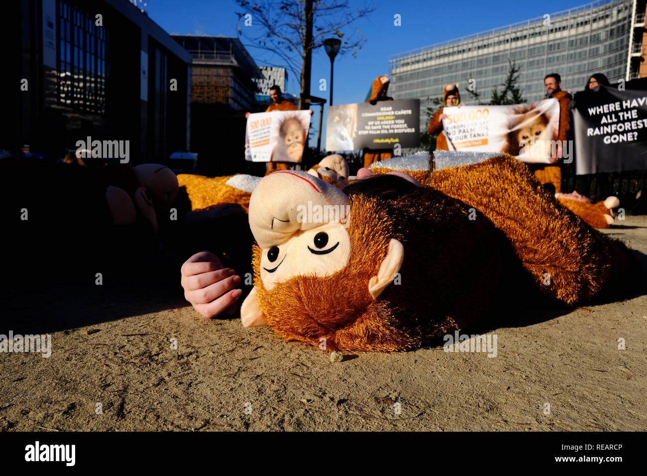 Bruxelles, Belgio. Il 21 gennaio 2019. Gli attivisti manifestano contro l'olio di palma in biodiesel nella parte anteriore della sede centrale della Commissione europea. Alexandros Michailidis/Alamy Live News Foto Stock