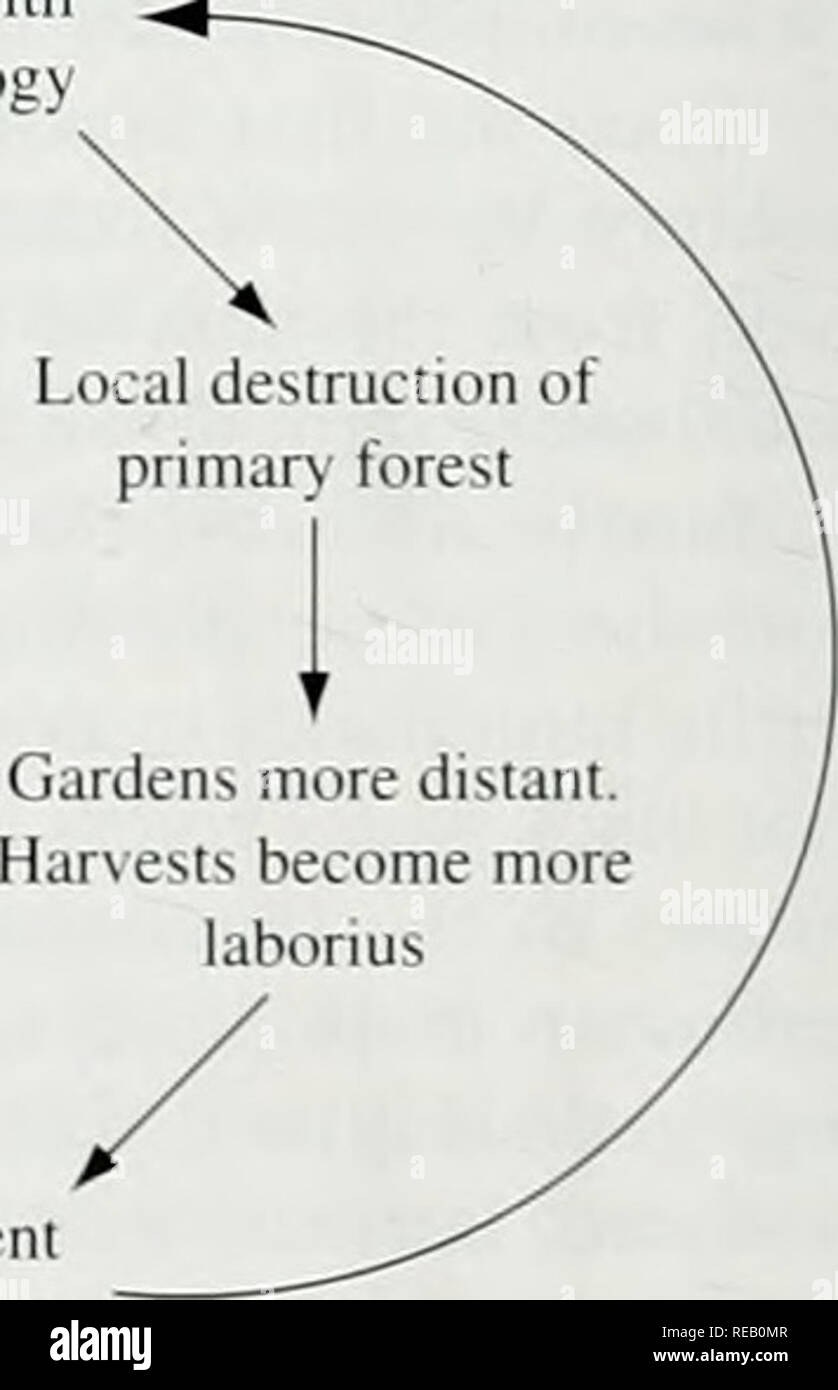 . L'Atlante di conservazione delle foreste tropicali: le Americhe. Le popolazioni della foresta Rispettiamo la foresta "Noi indiani sono nati, lavorare, vivere anil die in die bacino del die fiume di Madre de Dios del Perù. È la nostra terra - die solo duniJ abbiamo, con le sue piante, gli animali e le piccole aziende agricole: un ambiente siamo in grado di comprendere e utilizzare welt. Noi non siamo come quelli di fuori che vogliono cancellare tutto lontano, distruggendo la ricchezza e lasciare la foresta rovinato per sempre. Rispettiamo la foresta, facciamo in modo che si producono per noi. Molte persone si chiedono perché ci vuole così tanto terreno. Loro pensano che noi non funzionano del tutto. Ma abbiamo lavoro differenti Foto Stock