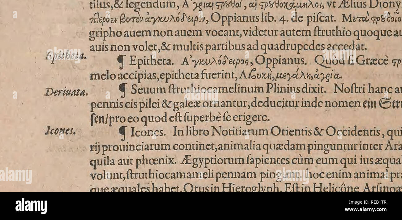 . Conr. Gesneri Tigurini, medicinae et philosophiae professoris in Schola Tigurina, Historiae animalium liber II : qui est de quadrupedibus ouiparis. Opere Pre-Linnean; le prime opere a 1800; Zoologia; Anfibi e Rettili. De s turno. B. C. Lib. 111.. omnino ardeam,) Ambrofius fturnum transfert, quem tamen Grxci noneroJim,fcd pfird dicunt, Caslius. ^i^^r/^rHebraicamvocemnonnuIIiaftarem velfturnumaiuntfignificare,alij aliudanimal: njide nell'Aquila Al':^Raz.ir funt aues apud Arabes,turdorum fere magnitudine,alimentato colore diuerfb. habet enim plumas &AMP; pennas nigras aliquainfignes albedine,&amp;; apu Foto Stock