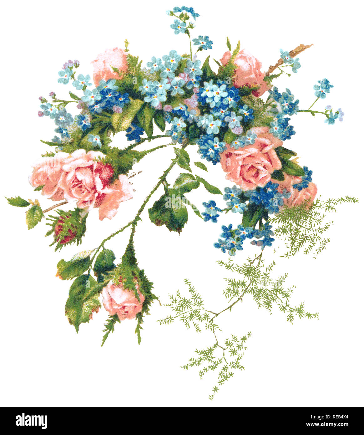 Edwardian illustrazione di un mazzo di fiori con dimenticare-me-poveri e le rose rosa. Foto Stock