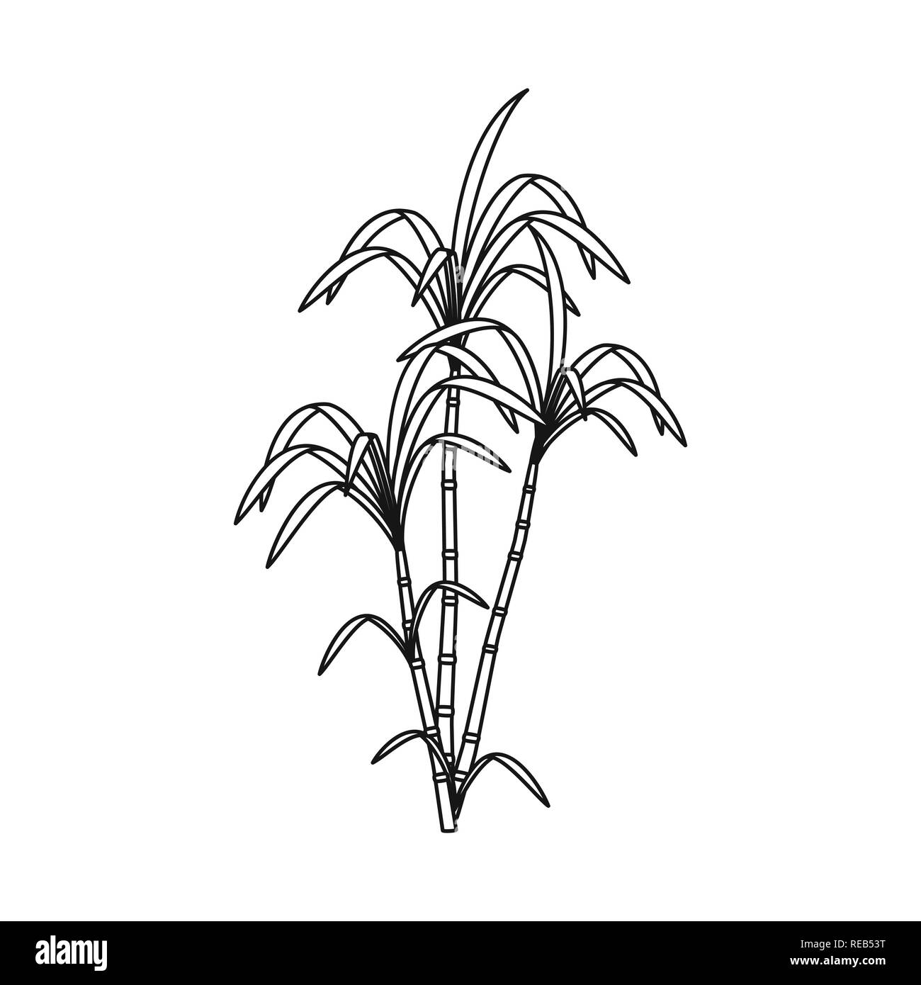 Bush,palm,crescita,ramo,succhi di frutta,foglie,pilastro,verde,AFRICA,l'india,la canna da zucchero, di canna da zucchero,,campo,impianto,plantation,agriturismo,l'agricoltura,saccarosio,technology,impostare,vettore,icona,immagine,isolato,raccolta,design,l'elemento,graphic,segno,contorno,linea, Vettori vettore , Illustrazione Vettoriale