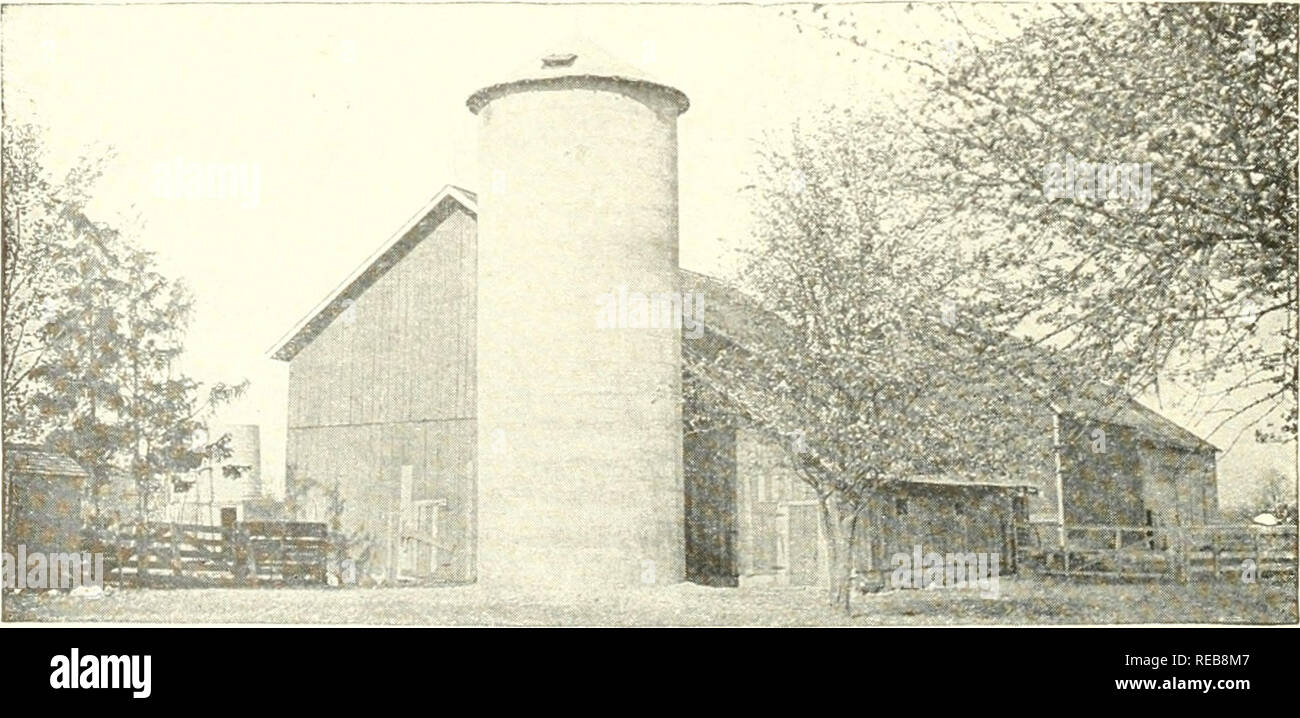 . Silos di calcestruzzo... 72 sili di calcestruzzo Zeeland Silo:-un interessante tipo di blocco in calcestruzzo di silo è ampiamente utilizzato attraverso la regione tra Olanda e Grand Rapids, Michigan, che è noto come la Zeeland silo e è stato costruito esclusivamente dal sig. Chris Dejonge, dello Zeeland, Michigan. Circa 30 Zeeland sili sono stati condizionati da lui nella contea di Ottawa da soli. Zeeland silo ha una serie di caratteristiche uniche. È il solo silo del suo genere utilizzando blocchi solidi realizzati "linguetta e scanalatura" in modo da adattarsi a qualsiasi diametro di silo. I blocchi sono realizzati 24 pollici di lunghezza e 8 pollici alto e hav Foto Stock