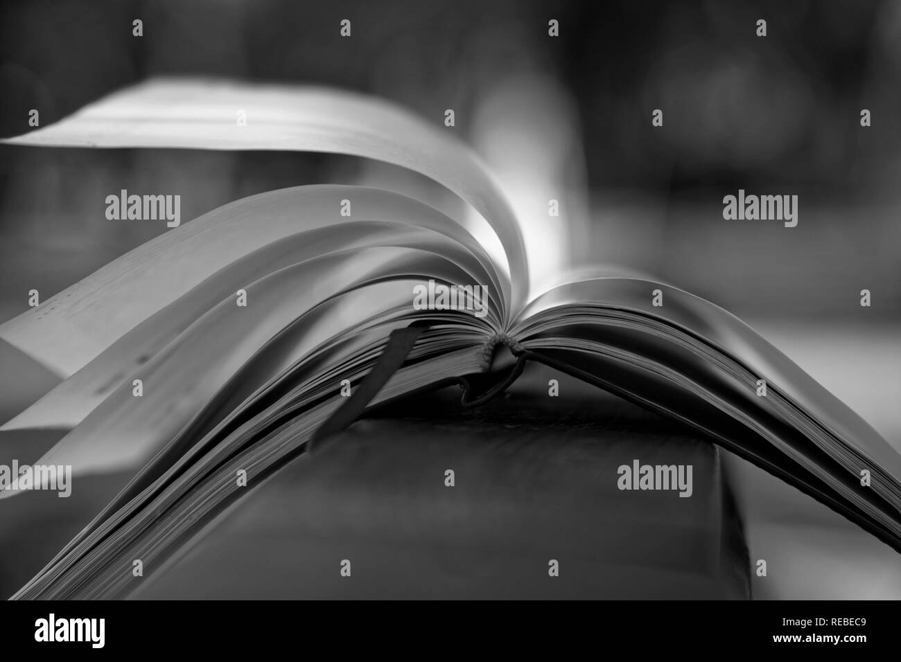 Il vento gira pagine monocromatiche di aprire il notebook si trova sul corrimano in legno nel parco, la concezione di business. Foto Stock