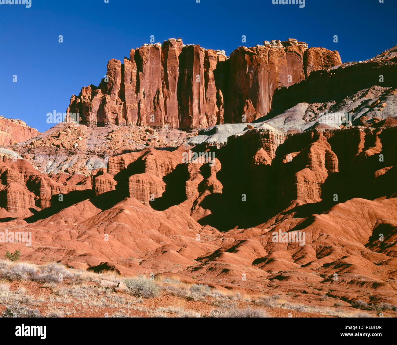 Stati Uniti d'America, Utah, parco nazionale di Capitol Reef, Wingate ripide scogliere di arenaria sopra Moenkopi più morbido rock; lungo la Hwy 24 vicino al centro visitatori. Foto Stock