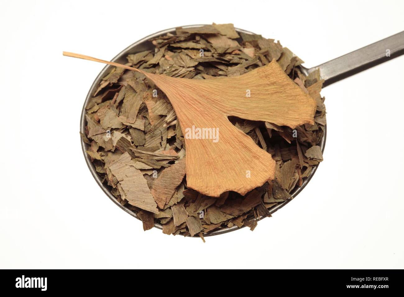 Essiccato ginkgo (Ginkgo biloba) foglie e a foglia intera, foglie secche in forma commerciale Foto Stock