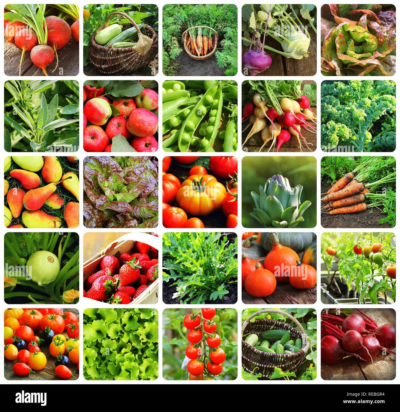 Collage di ortaggi - Prodotti dell'orto. Mangiare sano consept. Sfondo di  giardinaggio Foto stock - Alamy