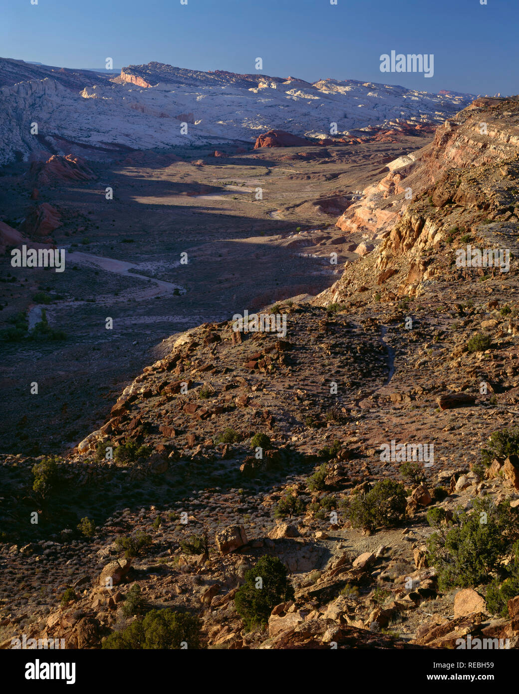 Stati Uniti d'America, Utah, parco nazionale di Capitol Reef, obliquo uplift del Waterpocket Fold in tarda serata, vista nord da Halls Creek si affacciano. Foto Stock