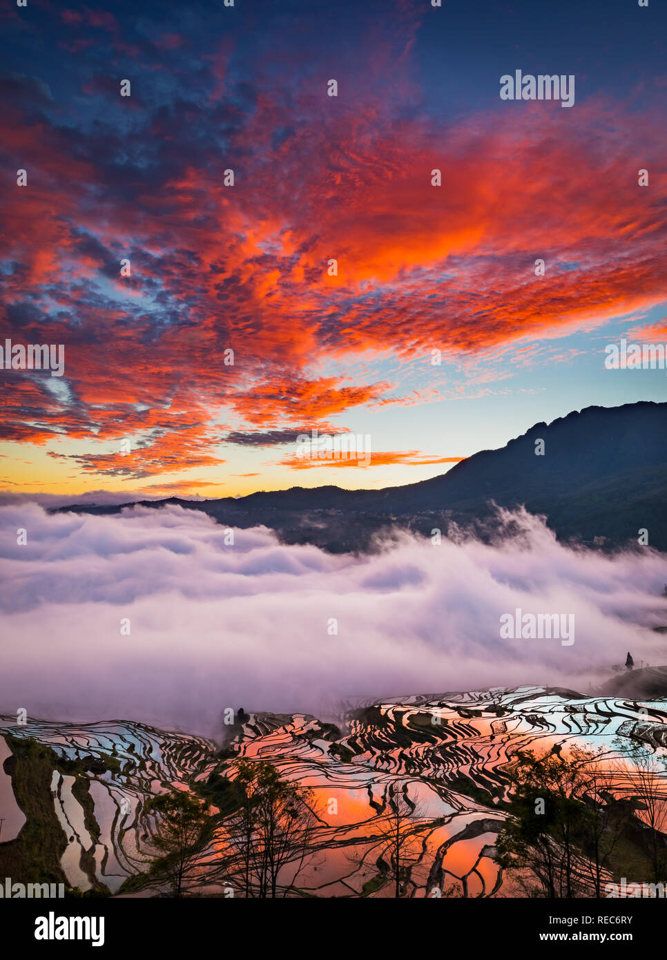 Yuanyang County (Cinese semplificato: 元阳县; cinese tradizionale: 元陽縣) si trova nella prefettura di Honghe nel sud-est della provincia di Yunnan in Cina. Foto Stock