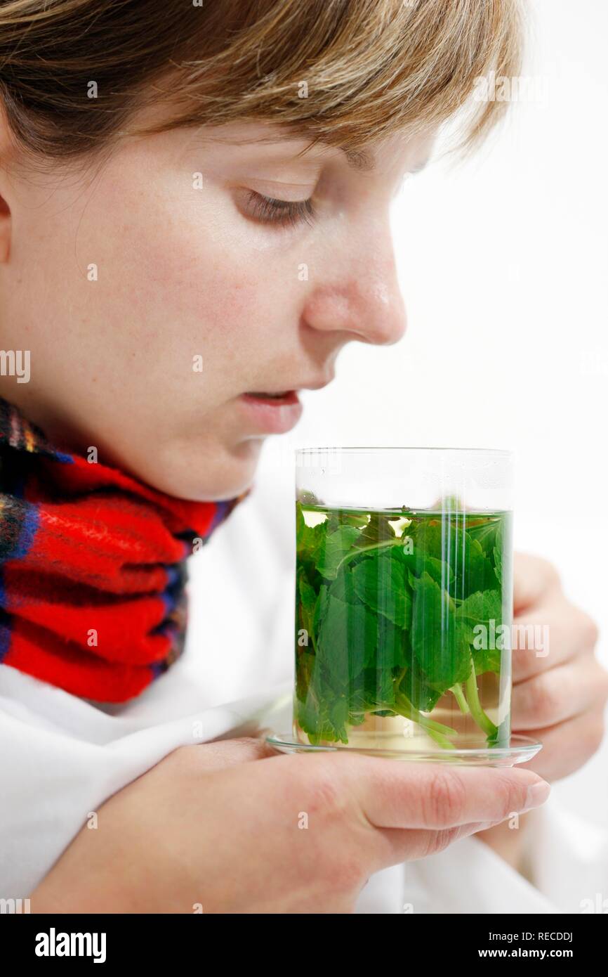 Una giovane donna con un mal di gola e freddo, con una sciarpa di bere il tè alla menta con foglie di menta fresca e rilassante Foto Stock