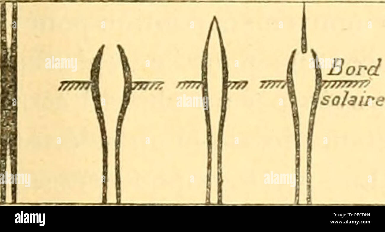 . Comptesrendusheb1411905Acad. es naturelles. SÃANCE DU l4 AOUT 1905. 3-9 qui, il ne faut pas l'oublier, est comprendono entre les deux raies brillantes de KÂ", una une largeur trí¨s variabile qui peut Ãªtre nulle ou dÃ©passer la largeur ordinaire de la secoiule fente du spectroliÃ©liograjilie. La disparition de certaines plages brillantes ou Autrement Dit la sostituzione d'une plage noire Ã une plage billlante s'explique aisÃ©mento. Pour expliquer le rÃ©sultat de Haie et Ellerman, j'ai rappelÃ©, en juin 190-4, que les raies de l'hydrogÃ¨ne {li^ et principalement Hp) oll'raient onu renversement doppia Foto Stock