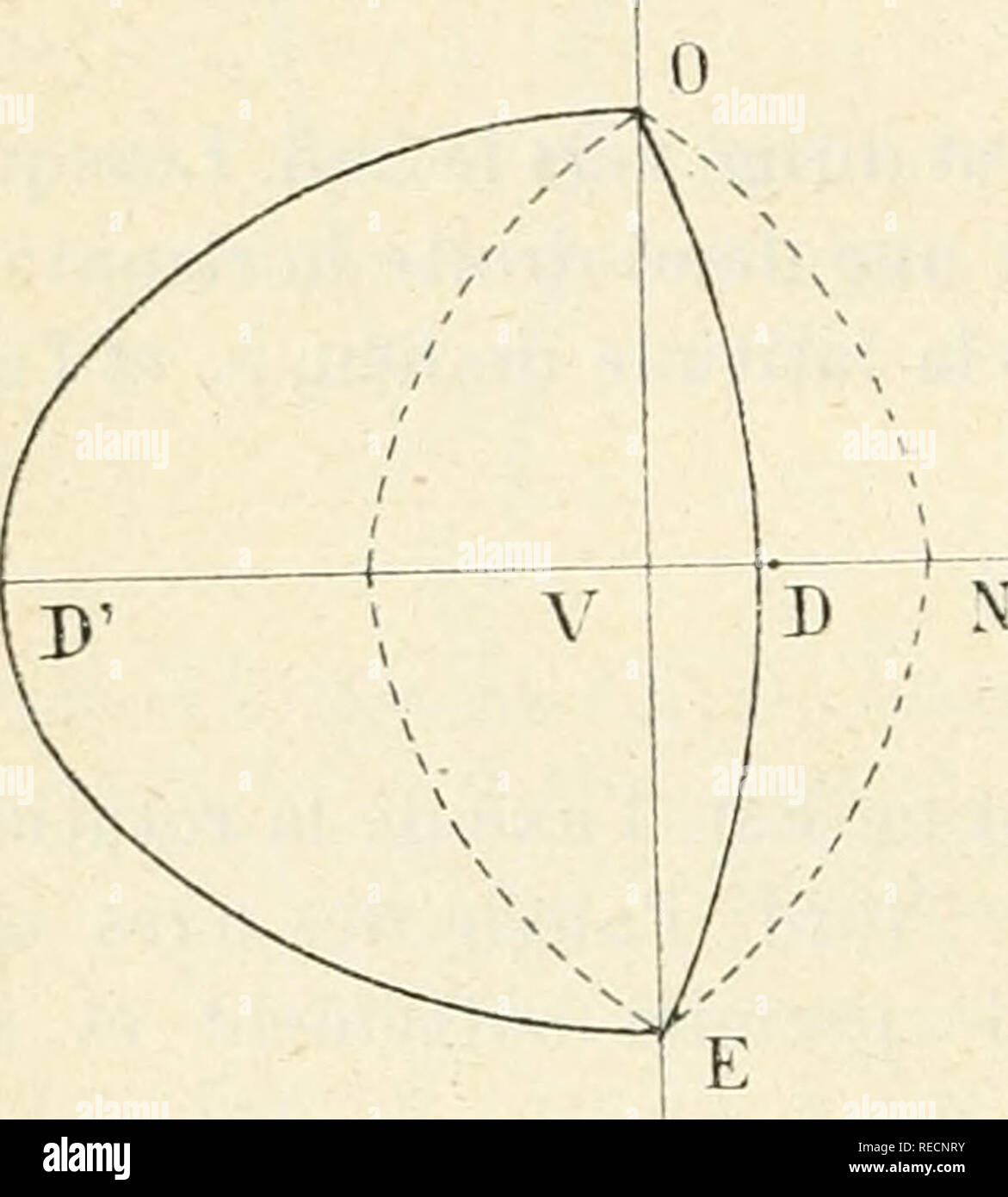 . Compte Rendu. La scienza; scienza -- Congressi. 42 MATHÃMATIQUES, ASTRONOMIE, GÃODÃSIE. MÃCANIQUE. de la boule au dessous du niveau de E, soit VN (aprÃ¨s rabattement), est de 12 cm, et l'su dÃ©duit VD = 5,3/, cm et VD'= 26,950111. La valeur absolue de ces flÃ¨ches diminue rapidement avec l'ampiezza de l'oscillazione. Pour l'Ã©carrello oriental de 3 m, su un seulement VN = 7cm. VD = 3,2&lt;m. YD'=i5,4cm. Et pour une ampiezza d'oscillazione de 2 m, il vient respectivement 3 cm. 1,4 cm. 6,7 cm. Dans l'expÃ©rience rÃ©elle de Foucault, le point de la sospensione Ã©tait fixe. Mais la grande longueur donnÃ©e Foto Stock
