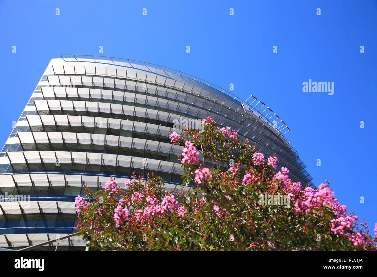 Torre Malecon, Galeno torre in Puerto Madero quartiere, Buenos Aires, Argentina, Sud America Foto Stock