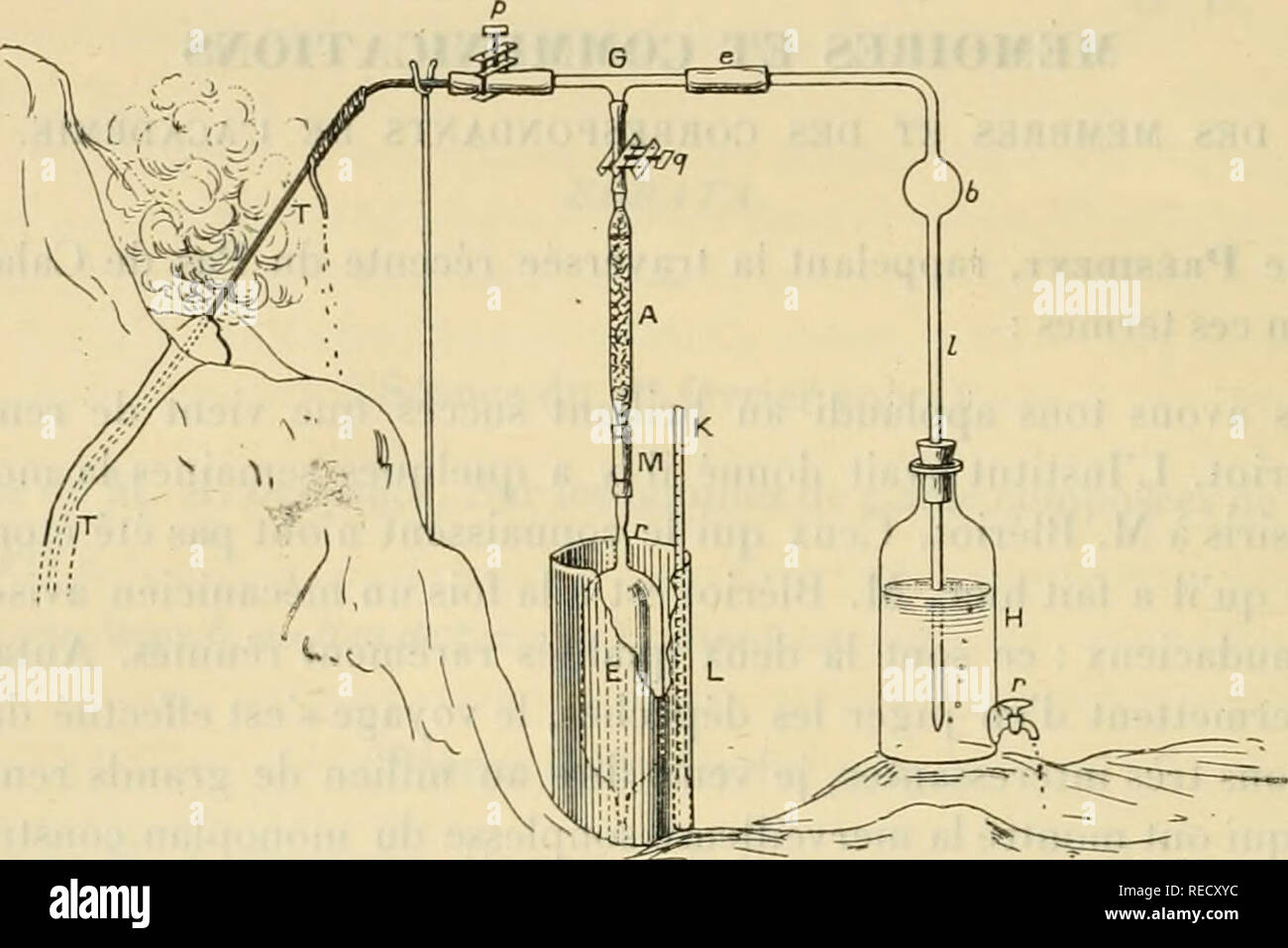 . Comptes rendus hebdomadaires des sÃ©ances de l'AcadÃ©mie des sciences. Scienza -- società, etc; scienza; scienza. 246 ACADÃMIE DES SCIENCES. A. Heciiril des gaz des fumerolles. Â Apres avoir choisi, sur place, une fenle profonde et Ã©troite d'oÃ¹ s'exhalent abondanuuenl les [)roduits gazeux Ã recueillir, su prend d'abord la tempÃ©rature des gaz Ã©mis en plongeant dans la fenle roclieuse thermomÃ onu¨tre Ã protÃ massimo©gÃ© par une enve- loppe de laiton. On fait ensuite pí©nÃ©trer dans la fessura de la Roche, aussi profondÃ©ment qu'on le peut, tubo dell'ONU TT {JÃ®g. i) en cuivre rouge bien mallÃ© Foto Stock