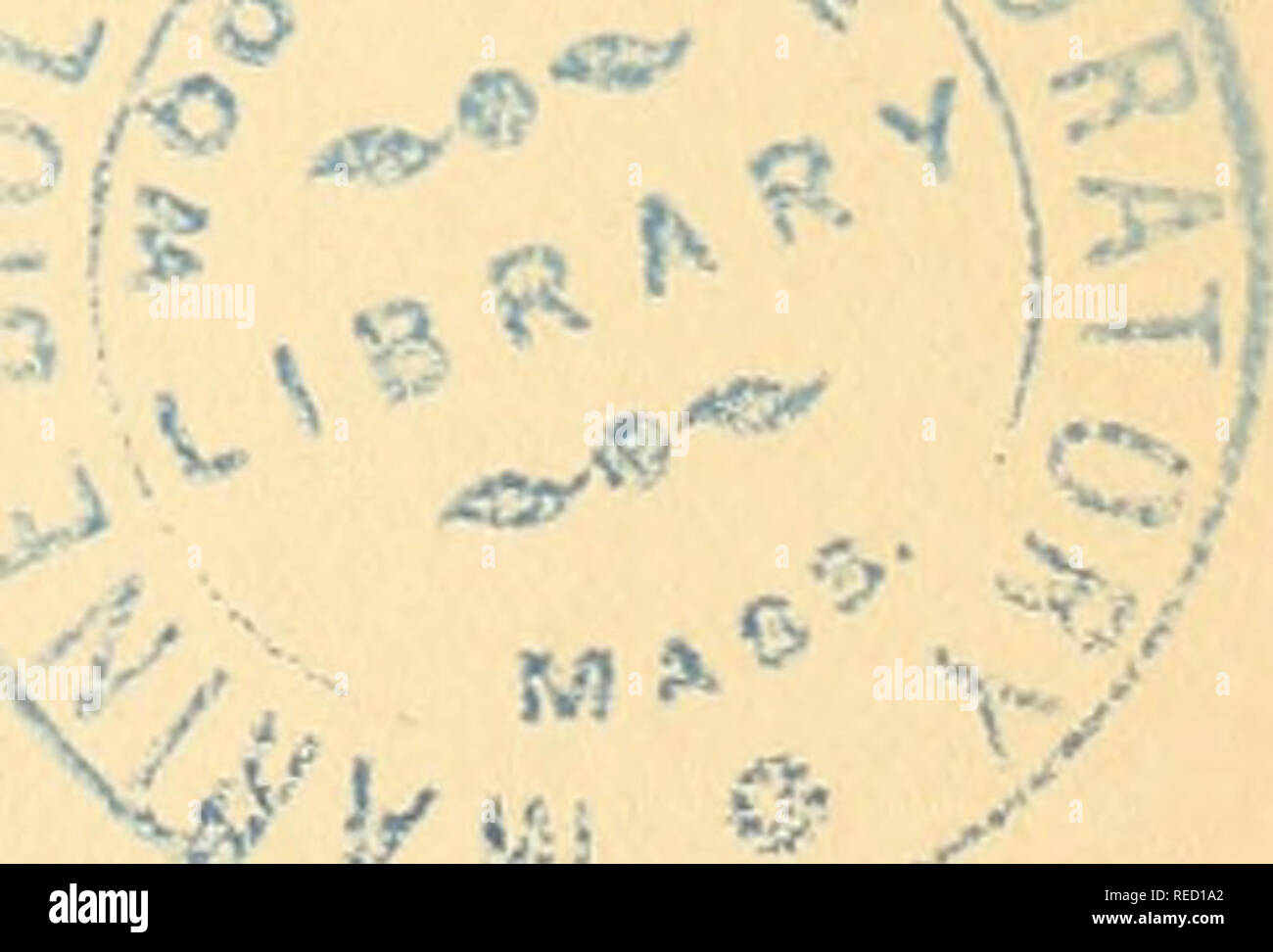 . Comptes rendus des sÃ©ances de la SociÃ©tÃ© de Biologie et de ses filiales. Biologia. IX MM. Stannius Ã Rostock. Stilling Ã Cassel. Virchow à Berlin. Weber (Wilhelm-Eduard).. Ã Leipzig. Weber (Ernst-Heinrich)... Ã Leipzig. Belgique. MM. Gluge Ã Bruxelles. La molla Ã LiÃ¨ge. Tliiernesse Ã Bruxelles. Van-Beneden Ã Louvain. Danemark. M. Hannover Ã Copenhague. SuÃ¨de. M. Santesson Ã Stoccolma. Hollande. MM. Donders Ã Utrecht. Hartig Ã Utrecht. Van der HÅven Ã Leyde. Suisse. MM. Duby Ã GenÃ¨ve. Frey Ã Zurigo. De La Harpe Ã Lausanne. Miescher Ã BÀ¢le. Odier Ã GenÃ¨ve. PrÃ©vost Ã GenÃ¨ve. Vogt GenÃ Ã¨ Foto Stock