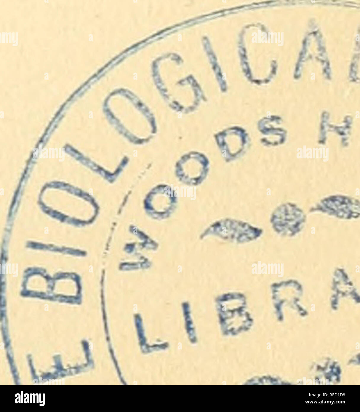 . Comptes rendus des sÃ©ances de la SociÃ©tÃ© de Biologie et de ses filiales. Biologia. M. IX MM. Stannius Ã Rostock. Stilling Ã Cassel. Virchow à Berlin. Weber(Wilhelm-Eduard).. Ã Leipzig. Weber (Ernst-Heinrich)... Ã Leipzig. Belgique. MM. Gluge Ã Bruxelles. La molla Ã LiÃ¨ge. Thiernesse Ã Bruxelles. Van-Beneden Ã Louvain. Danemark. Hanncver Ã Copenhague. SuÃ¨de. Santesson Ã Stoccolma. Hollande. MM. Donders Ã Utrecht. Hartig Ã Utrecht. Van der HÅven Ã Leyde. finisse. MM. Duby Ã GenÃ¨ve. Frey Ã Zurigo. De La Harpe Ã Lausanne. Miescher Ã BÀ¢le. Vogt Ã GenÃ¨ve. Italie. M^L Lusana , Ã Palerme. Ma Foto Stock