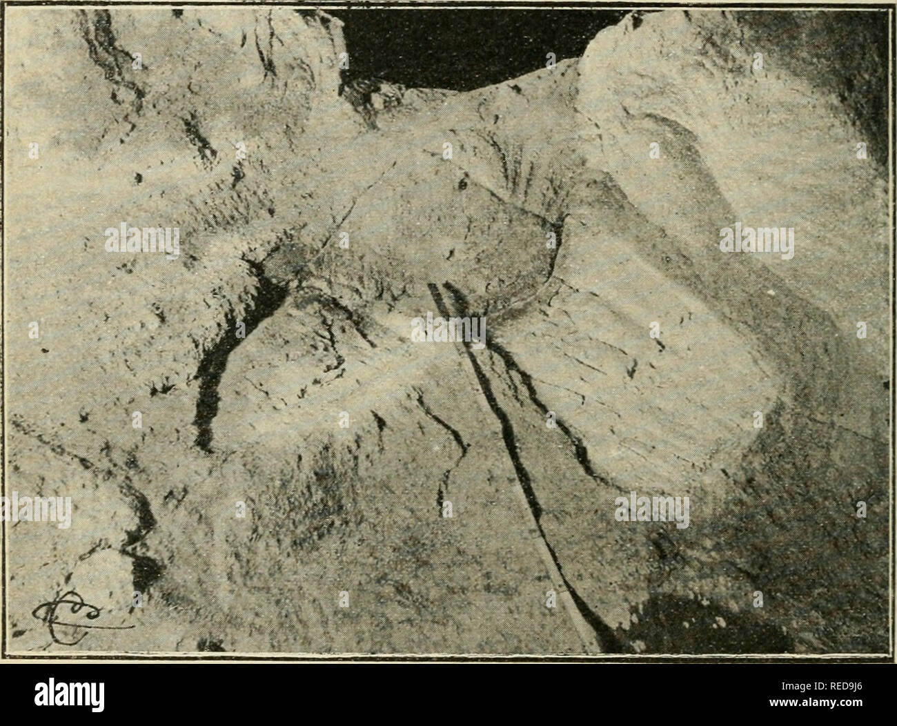 . Compte Rendu. La scienza; scienza -- Congressi. 268 ANTHROPOLOGIE. D'autre parte, le mode de remplissage ferait croire qu'su un pri, pour le combler, des Matias©riaux de divani en place. Au fond se trouvent les frammenti de poterie rÃ©cente tombÃ©s dans le fossÃ© qui gisaient à la sur- faccia du sol, oÃ¹ l'su un puisÃ©. Au-dessus, des vestiges Ã©nÃ©olithiques mÃªlÃ©s aux cailloutis; puis ce stÃ cailloutis©rile. Plus haut encore le gravier ter- tiaire et le coup de poing. Les Zones sont en successione Ã peu prÃ¨s exac- tement inverso de la scuola. Il convient de comparer ces Travaux de terrassement Foto Stock