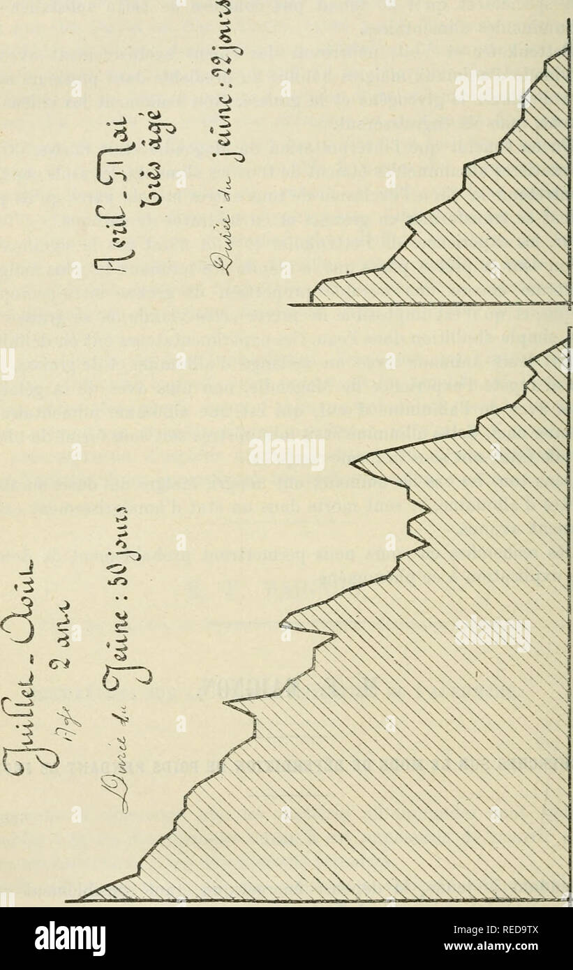 . Compte Rendu. La scienza; scienza -- Congressi. ;Ã®o8 zoologie, anatomie et physiologie. Des expÃ©riences faites sur des chiens, privÃ©s d'aliments, ne recevant que de l'eau et des sels minÃ©raux (chlorure de sodio, poudre d'os. grillÃ©s, carbonato de fer) afin d'Ã©viter la dÃ©minÃ©ralisation, nous ont montrÃ©, comme le reprÃ©sentent les graphiques articolazioni Ã cette organi giurisdi- nication que la perte de poids n'est pas rÃ©guliÃ¨re. Le poids diminue. Si prega di notare che queste immagini vengono estratte dalla pagina sottoposta a scansione di immagini che possono essere state migliorate digitalmente per la leggibilità - Colorazione e aspetto di Foto Stock