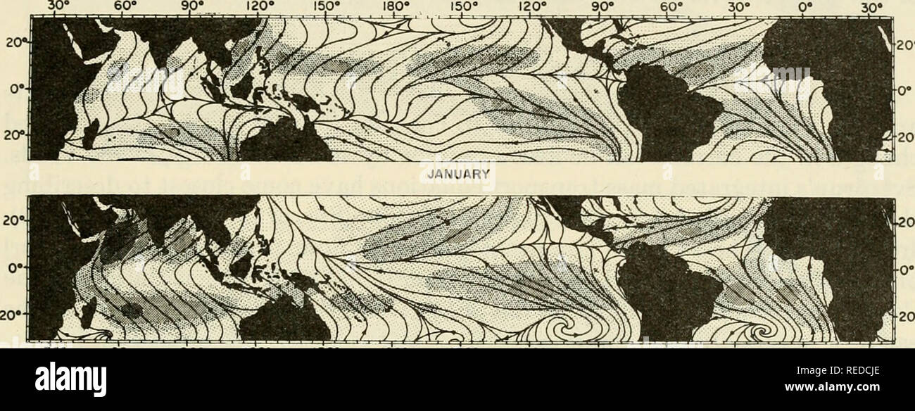 . La composizione di acqua di mare : comparativo e oceanografia descrittiva. Acqua di mare -- Composizione. Setta. 3] equatoriale sistemi corrente 237 "fallace generalizzazione da una data longitudine" è come pericolosi in oceanografia tropicali come è in meteorologia tropicale. A. Lo stress del vento vi è un marcato stagionale e variazione longitudinale in venti e il vento lo stress. Una regione variabile leggera venti, la separazione di forti traffici est, è quello di essere trovato solo in Atlantico e in un 2000-mile band nel Pacifico centrale. Questa immagine non è vera per il 70% degli oceani equatoriale, Foto Stock