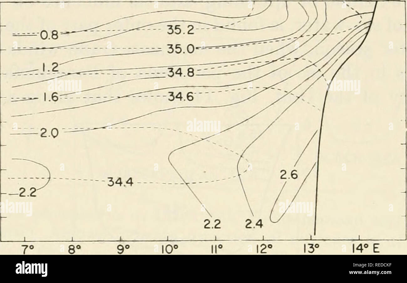 . La composizione di acqua di mare : comparativo e oceanografia descrittiva. Acqua di mare -- Composizione. 66 REDFIELD, KETCHUM E RICHARDS [CHAP. 2 si muove verso il sito di risalita, come il risultato del naufragio della materia organizzato da strati di superficie come si muovono offshore. A sostegno di questa, l'ossigeno è diminuita in circa le proporzioni richieste per la decomposizione della materia organica. I classici esempi di risalita si trovano lungo i confini orientali degli oceani nel commercio di vento la cinghia. La distribuzione di fosforo totale in una sezione che attraversa la corrente di Benguela off il WES Foto Stock . La composizione di acqua di mare : comparativo e oceanografia descrittiva. Acqua di mare -- Composizione. 66 REDFIELD, KETCHUM E RICHARDS [CHAP. 2 si muove verso il sito di risalita, come il risultato del naufragio della materia organizzato da strati di superficie come si muovono offshore. A sostegno di questa, l'ossigeno è diminuita in circa le proporzioni richieste per la decomposizione della materia organica. I classici esempi di risalita si trovano lungo i confini orientali degli oceani nel commercio di vento la cinghia. La distribuzione di fosforo totale in una sezione che attraversa la corrente di Benguela off il WES Foto Stock