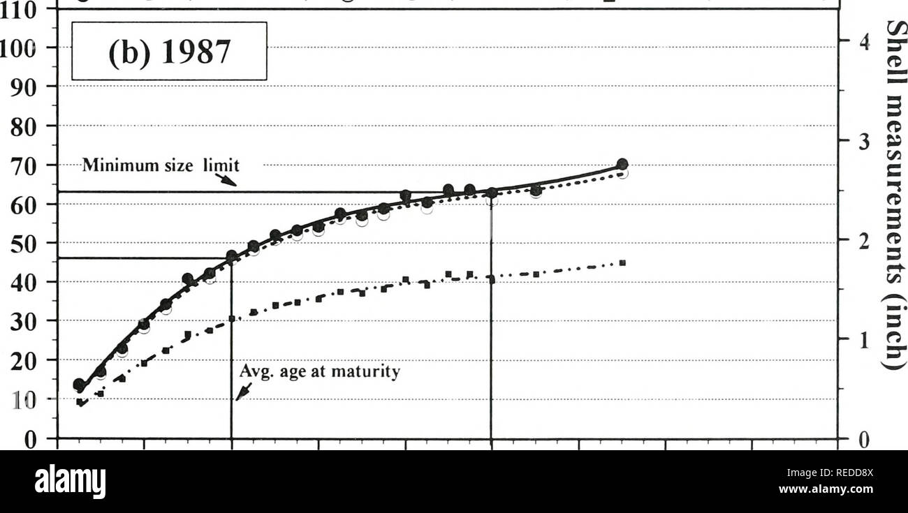 . Una valutazione completa di tre letti di mitili nel raggiungere i 15 della parte superiore del fiume Mississippi. [Risorsa elettronica]. Biologia ecologia; Mitili; Ecologia; elaborazione dati; densità; gestione; monitoraggio; assunzione; Campionamento; fiume Mississippi; bassa velocità; biologia acquatica; crescita(fisiologia). La Figura G-4. Curve di crescita basato sulla media dimensione osservata in età (Tabella G-8) o^Qiiadnilapustulosa raccolti da raggiungere 15 della parte superiore del fiume Mississippi in (a) 1994-1995 e (b) 1987. Tutte le curve di crescita sono meglio descritti da una regressione polinomiale di formula (Tabella G-4). Coefficiente di determinazione (r^) valu Foto Stock