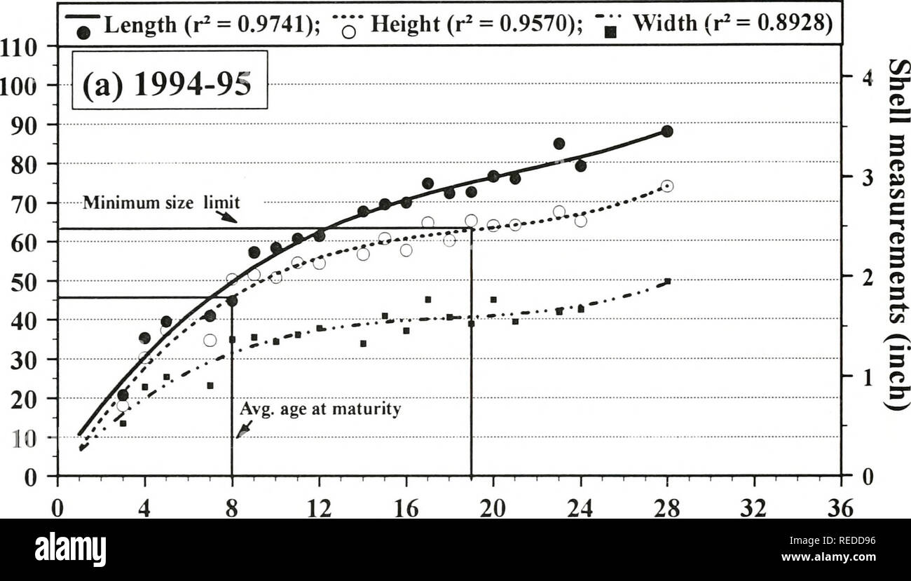 . Una valutazione completa di tre letti di mitili nel raggiungere i 15 della parte superiore del fiume Mississippi. [Risorsa elettronica]. Biologia ecologia; Mitili; Ecologia; elaborazione dati; densità; gestione; monitoraggio; assunzione; Campionamento; fiume Mississippi; bassa velocità; biologia acquatica; crescita(fisiologia). La Figura G-3. Curve di crescita basato sulla media dimensione osservata in età (Tabella G-7) o^Quadrula quadrula raccolti da raggiungere 15 della parte superiore del fiume Mississippi in (a) 1994-1995 e (b) 1987. Tutte le curve di crescita sono meglio descritti da una regressione polinomiale di formula (Tabella G^). Coefficiente di determinazione (r-) valori Foto Stock