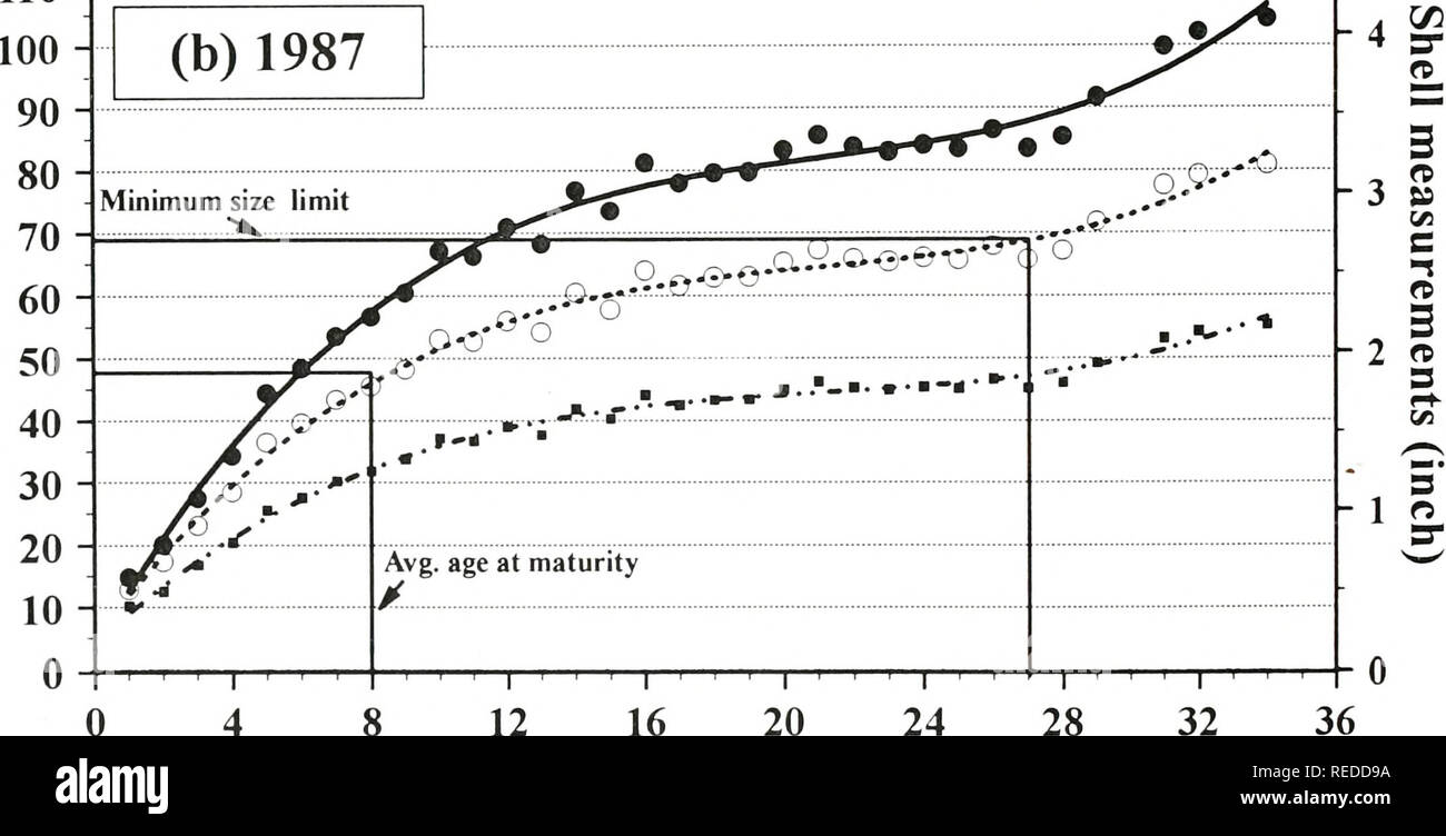 . Una valutazione completa di tre letti di mitili nel raggiungere i 15 della parte superiore del fiume Mississippi. [Risorsa elettronica]. Biologia ecologia; Mitili; Ecologia; elaborazione dati; densità; gestione; monitoraggio; assunzione; Campionamento; fiume Mississippi; bassa velocità; biologia acquatica; crescita(fisiologia). I ' ' ' I ' ' ' I ' ' ' I 8 8 12 16 20 24 età stimata (anni) 110 Lunghezza (r^ = 0.9904); ••5-Altezza (r^ = 0.9908); Larghezza (r^ = 0.9908). T 12 16 20 24 età stimata (anni) Pagina G-23 Whitney et al., Unionid Sondaggio - raggiungere 15 UMR. Si prega di notare che queste immagini vengono estratte dalla pagina sottoposta a scansione le immagini che potrebbero hav Foto Stock