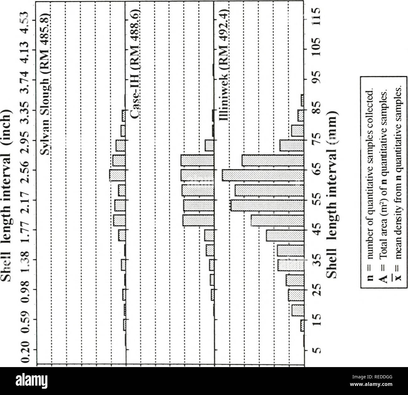 . Una valutazione completa di tre letti di mitili nel raggiungere i 15 della parte superiore del fiume Mississippi. [Risorsa elettronica]. Biologia ecologia; Mitili; Ecologia; elaborazione dati; densità; gestione; monitoraggio; assunzione; Campionamento; fiume Mississippi; bassa velocità; biologia acquatica; crescita(fisiologia). F ^ ^&GT; o "^ ^ '&GT;^ t 3 â¢g-^ s 1 3 ^ Q C/5 JW un&GT; ''^ &gt;- intervallo di lunghezza (pollici) n s^S^^i S22 x ^^ K OS S^s? ;^ {$ s 5^ ^^i^l^::;?;:;::^ P! ^ ';i ^ Â"s ... "" â ¢&GT;i "r n rs " -^ 'n rnH;'-; s;^:s^^j jÂ£ 1 ^^^ m come fs ^^ così 1 : ii ill 1 ;i 0 o fS r- r- V) Â"fi 00 vo â * oc Foto Stock