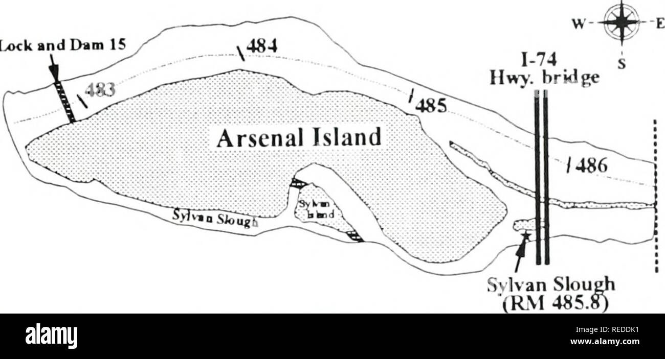 . Una valutazione completa di tre letti di mitili nel raggiungere i 15 della parte superiore del fiume Mississippi. [Risorsa elettronica]. Biologia ecologia; Mitili; Ecologia; elaborazione dati; densità; gestione; monitoraggio; assunzione; Campionamento; fiume Mississippi; bassa velocità; biologia acquatica; crescita(fisiologia). La figura 3. Ubicazione del Sylvan Slough prigioniero&gt;- sito (RM) 485.8 nel raggiungere i 15 della parte superiore del fiume Mississippi. Si prega di notare che queste immagini vengono estratte dalla pagina sottoposta a scansione di immagini che possono essere state migliorate digitalmente per la leggibilità - Colorazione e aspetto di queste illustrazioni potrebbero non perfettamente assomigliano a t Foto Stock