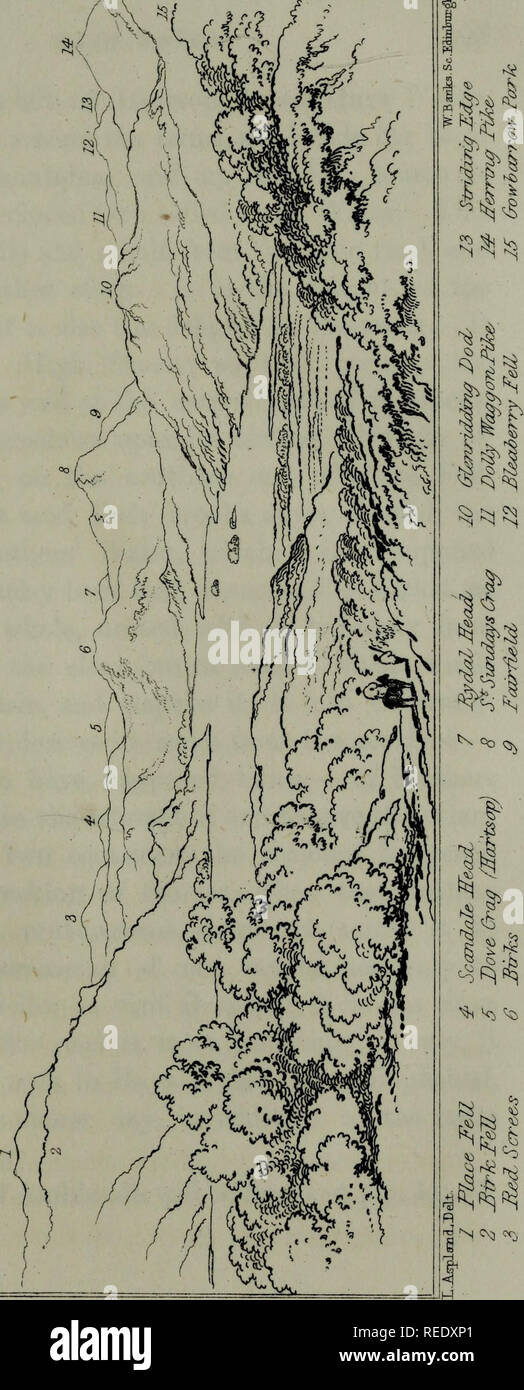 . Una guida completa ai Laghi Inglesi. Storia naturale. . Si prega di notare che queste immagini vengono estratte dalla pagina sottoposta a scansione di immagini che possono essere state migliorate digitalmente per la leggibilità - Colorazione e aspetto di queste illustrazioni potrebbero non perfettamente assomigliano al lavoro originale. Martineau Harriet, 1802-1876; Banche, William, ill. ill; Aspland, Theophil Lindsey, 1807-1890, ill. ill; Ruthven, John. Windermere : John Garnet ; Londra : Whittaker e Co. Foto Stock