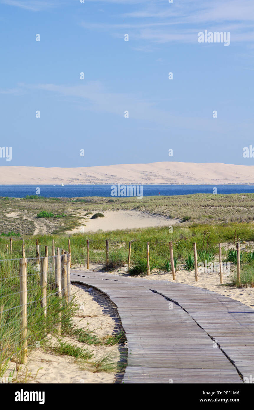Vista sulla duna del Pyla e la baia di Arcachon. Aquitaine, Francia Foto Stock