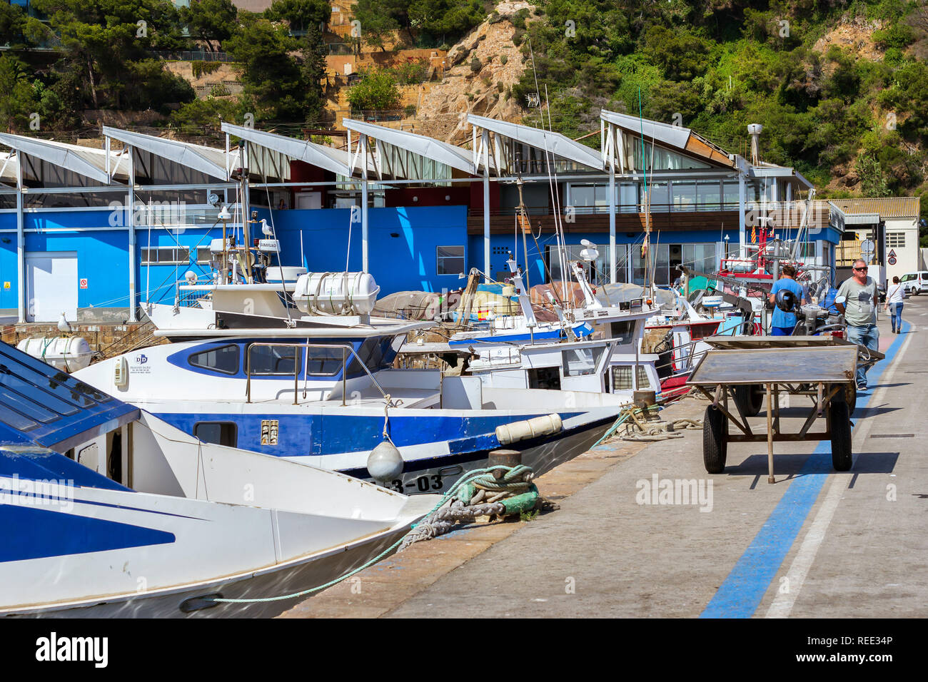 Blanes, Spagna - 31 maggio 2018: Pesca barche e yacht ormeggiati al molo nel porto Blanes. Pescatori scaricano delle catture di pesce di mare, ostriche, calamari, mare delicaci Foto Stock