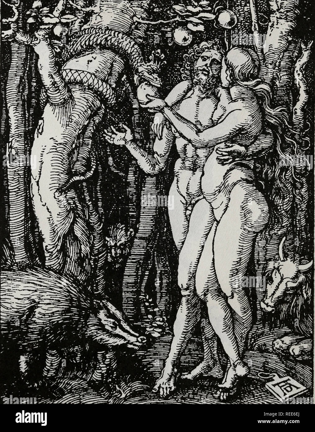 La caduta dell'uomo. "La Piccola passione, 1511". Incisione con monogramma di Albrecht Durer, 1511. Foto Stock