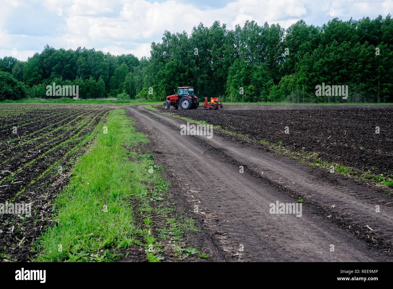 Verhovina, Russia - 30 Giugno 2017: Contadino con il trattore la semina - semina in campi agricoli Foto Stock