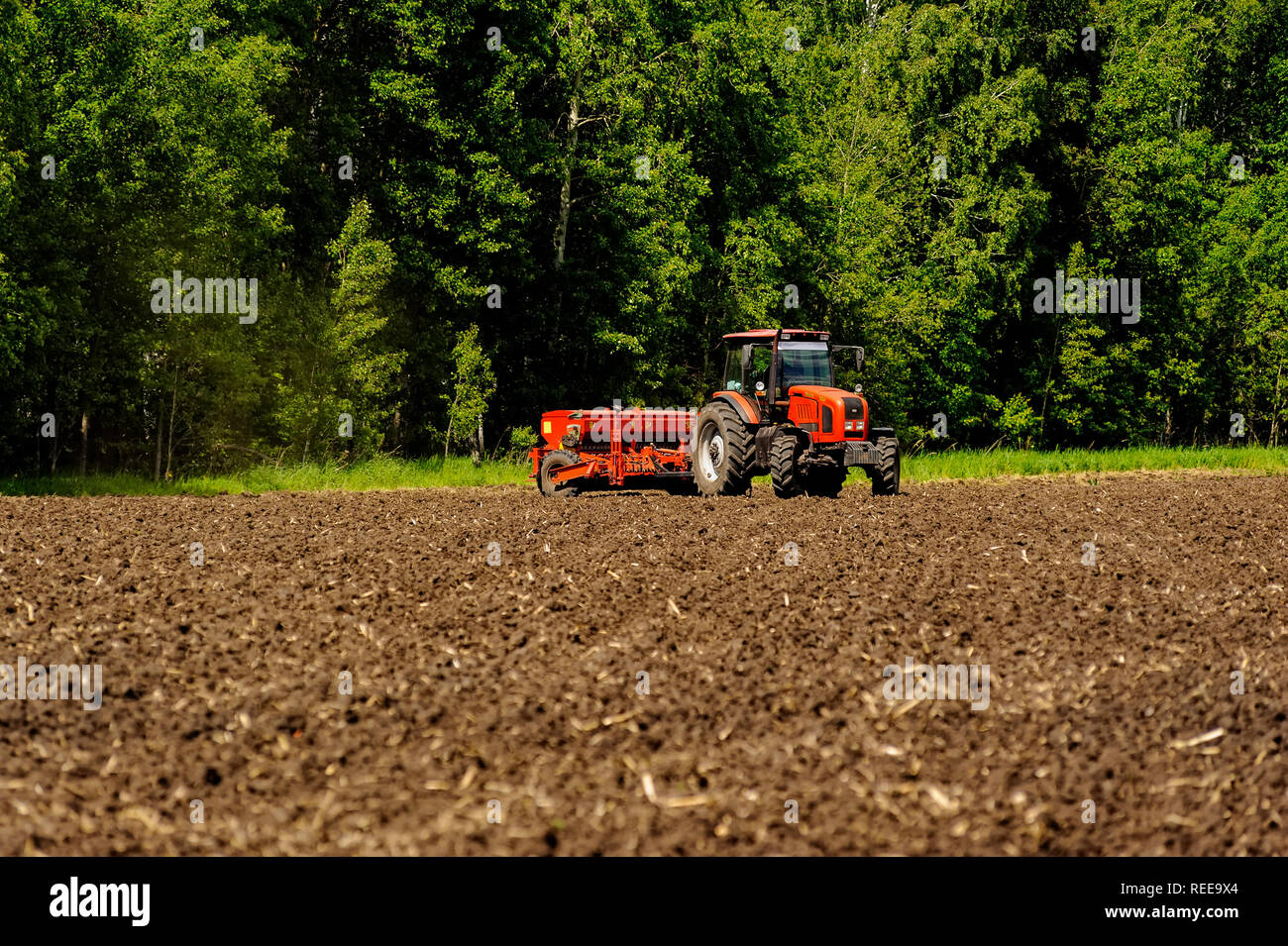 Verhovina, Russia - 30 Giugno 2017: Contadino con il trattore la semina - semina in campi agricoli Foto Stock