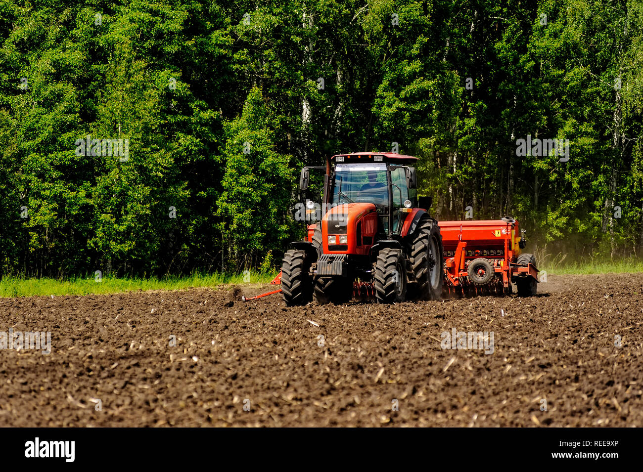 Verhovina, Russia - 30 Giugno 2017: Contadino con il trattore la semina - semina in campi agricoli Foto Stock