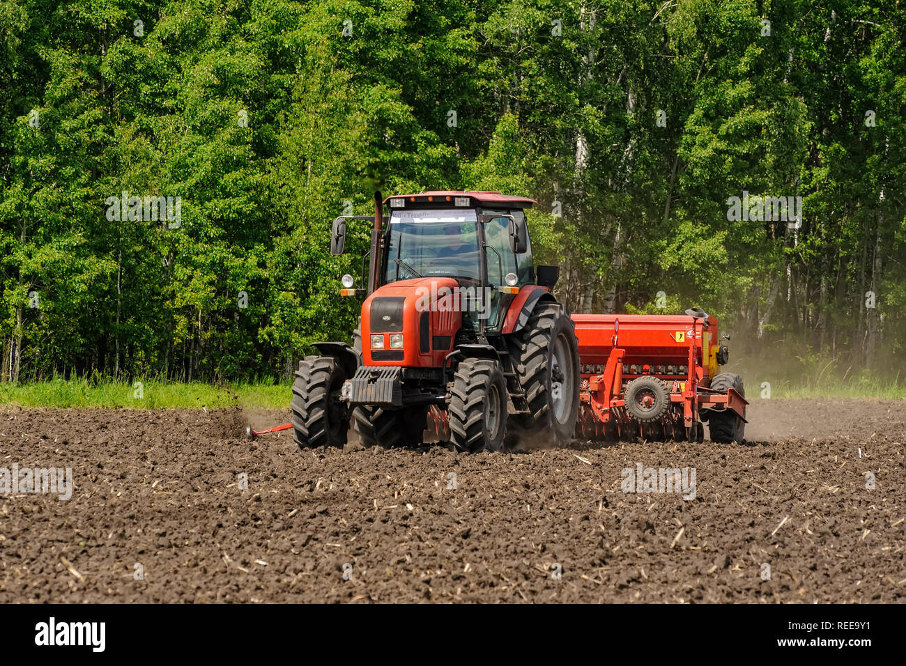 Verhovina, Russia - 30 Giugno 2017: agricoltore nel trattore la preparazione di terra con il seedbed coltivatore. La semina delle colture in campi agricoli Foto Stock