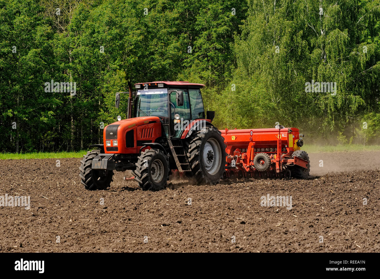Verhovina, Russia - 30 Giugno 2017: agricoltore nel trattore la preparazione di terra con il seedbed coltivatore. La semina delle colture in campi agricoli Foto Stock
