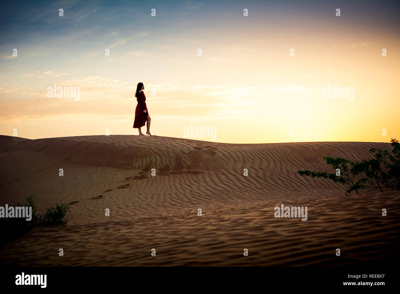 Donna guardando il tramonto nel deserto silhouette Foto Stock