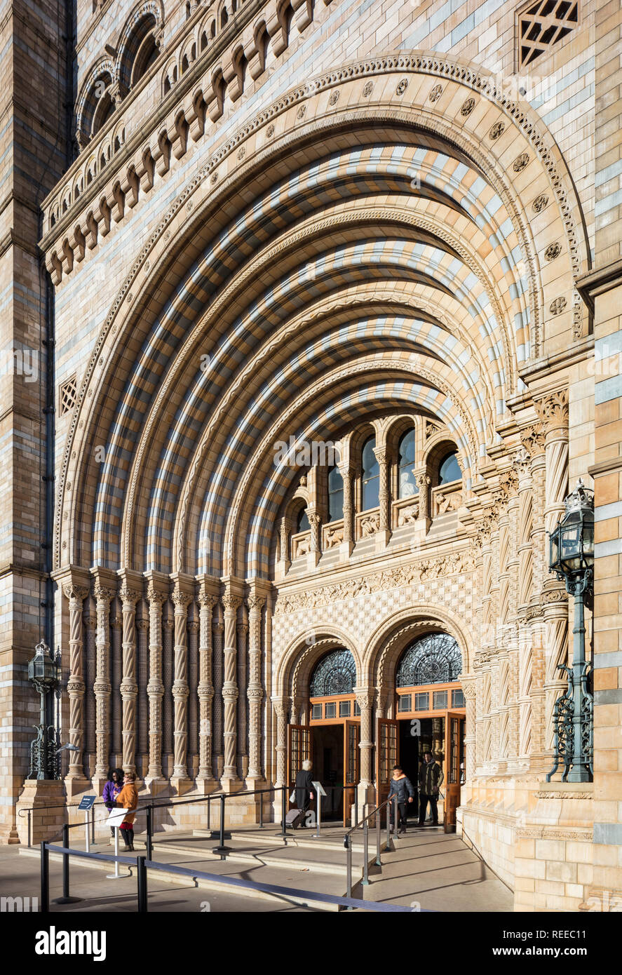 Museo di Storia Naturale Foto Stock
