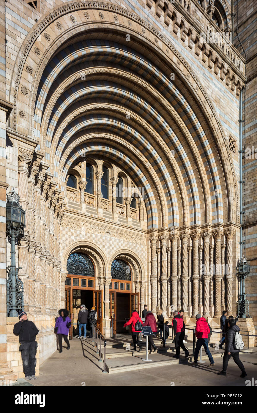 Museo di Storia Naturale Foto Stock