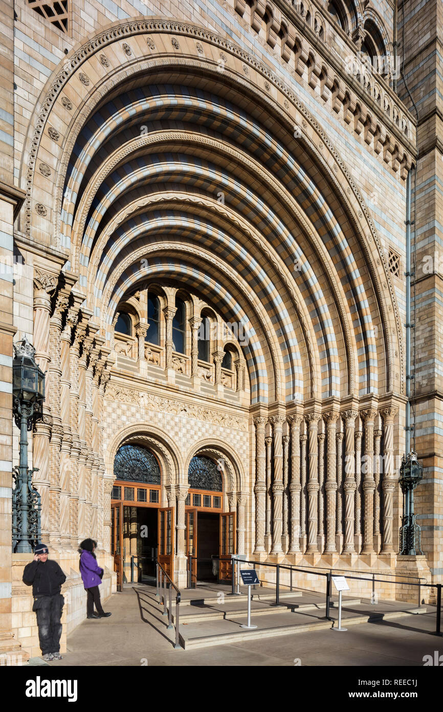 Museo di Storia Naturale Foto Stock