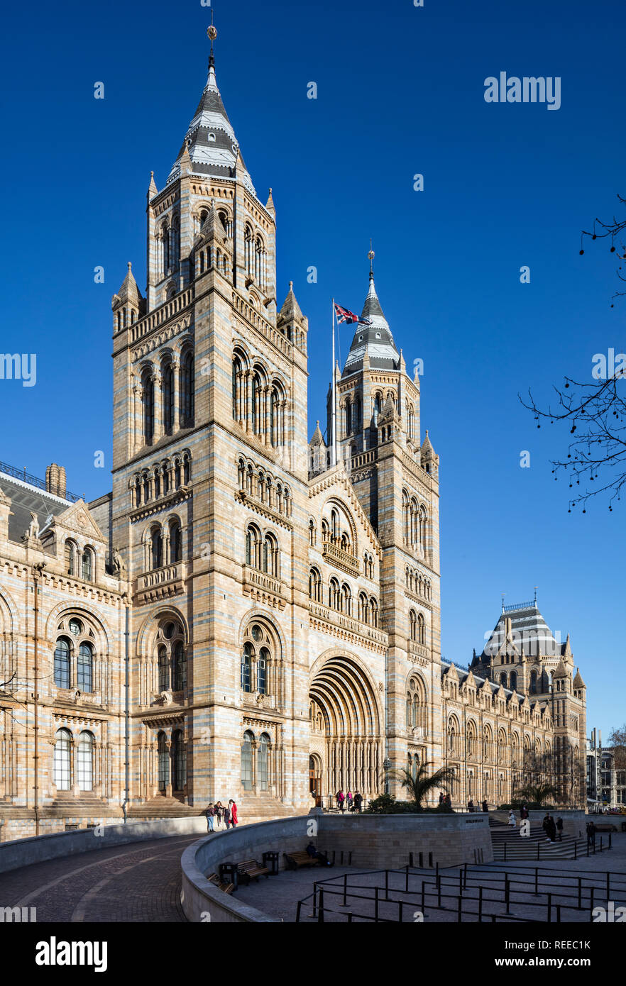 Museo di Storia Naturale Foto Stock