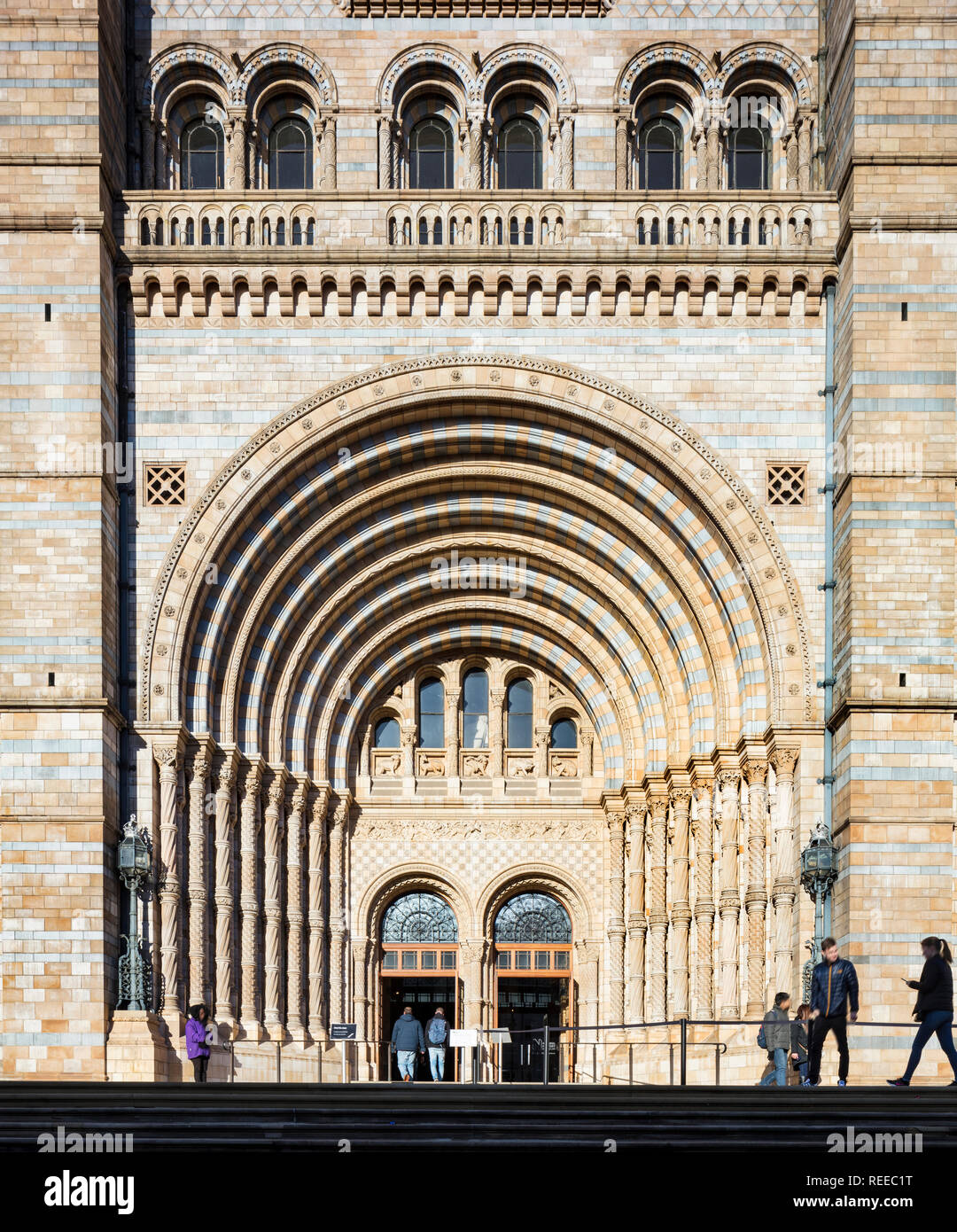 Museo di Storia Naturale Foto Stock