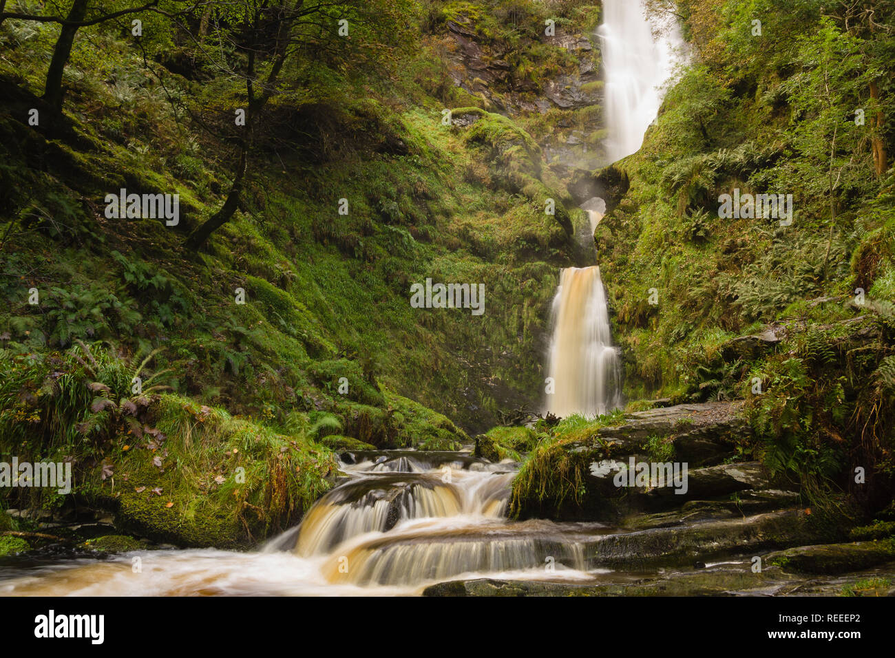 Pistyll Rhaeadr cascata in Llanrhaeadr ym Mochnant Powys una delle sette meraviglie del Galles e siti di particolare interesse scientifico Foto Stock