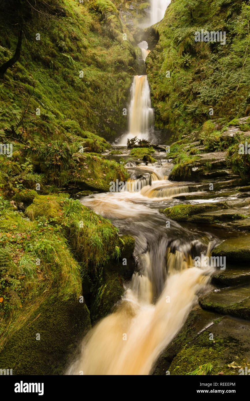 Pistyll Rhaeadr cascata in Llanrhaeadr ym Mochnant Powys una delle sette meraviglie del Galles e siti di particolare interesse scientifico Foto Stock