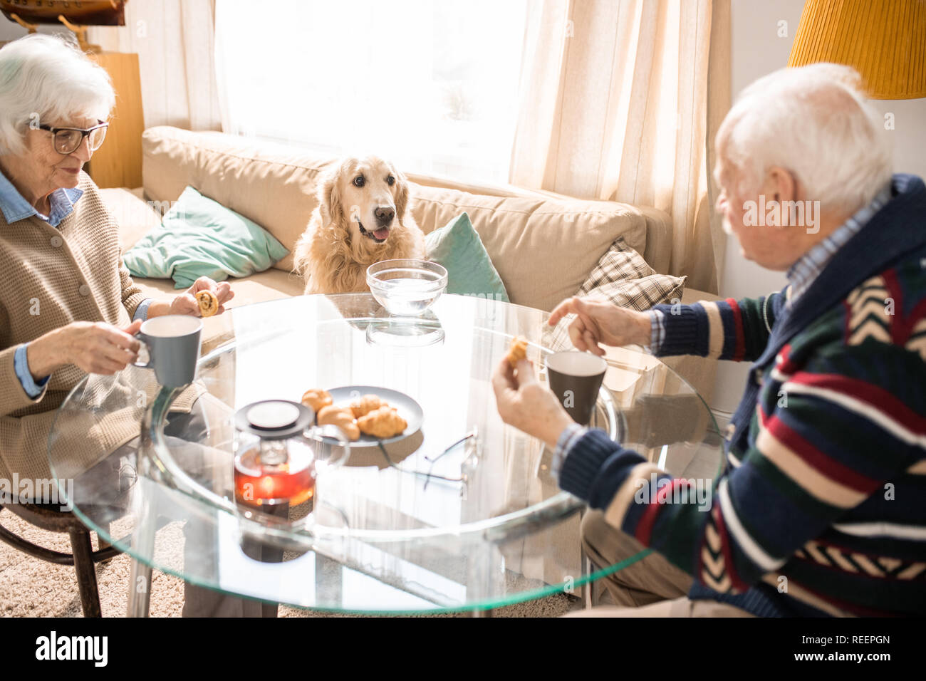Ritratto di coppia senior avente il pranzo a tavola con cute cane seduto sul divano e guardando a loro Foto Stock